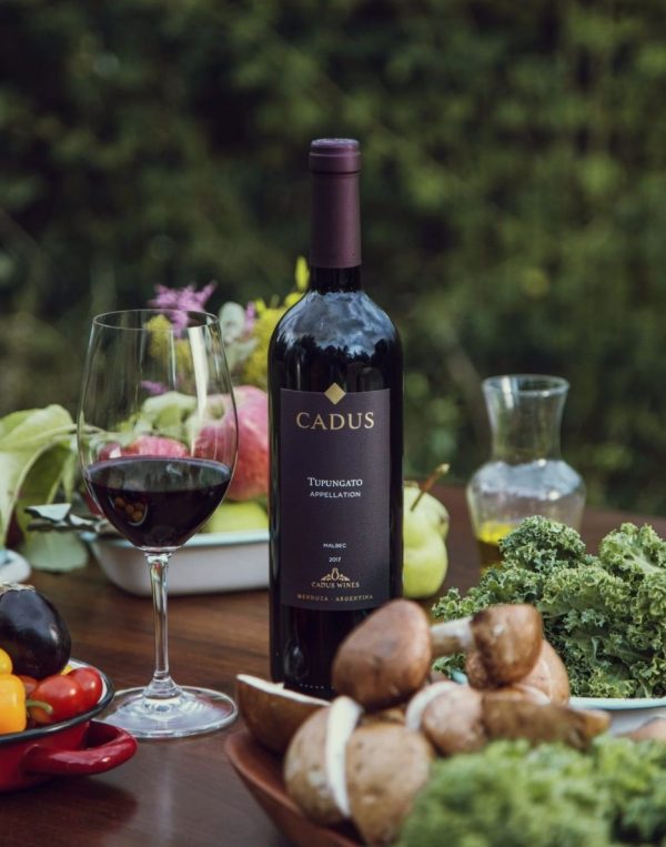 ALL THINGS DRINKS - Cadus Malbec Lifestyle