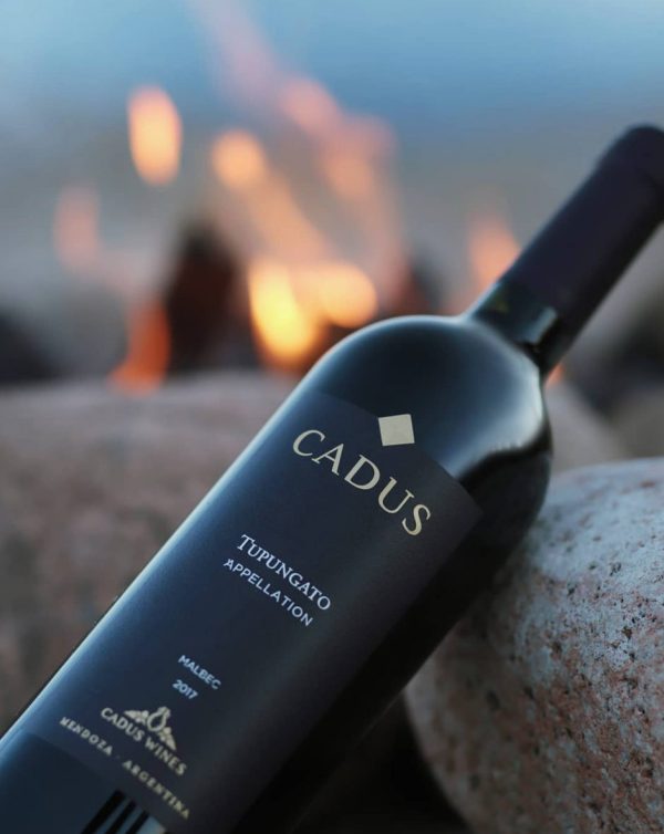 ALL THINGS DRINKS - Cadus Malbec by fire