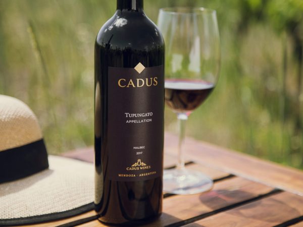ALL THINGS DRINKS - Cadus by the glass