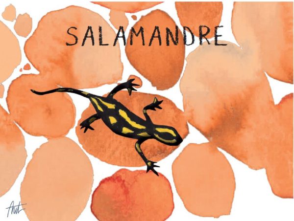 ALL THINGS DRINKS - Salamandre Orange Wine Label