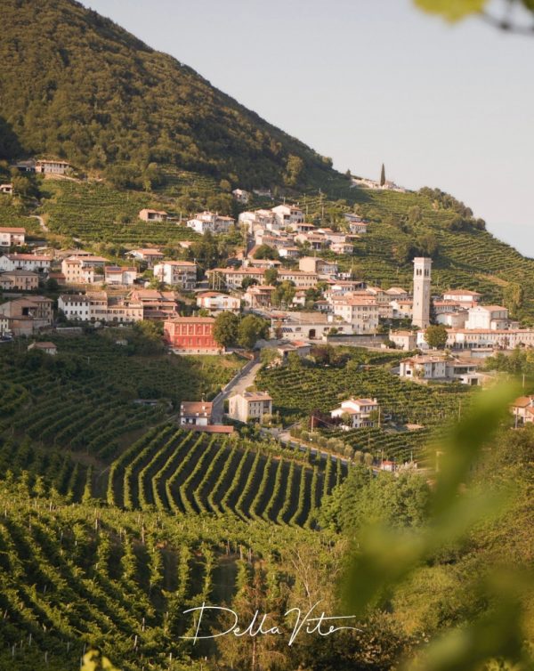 ALL THINGS DRINKS - Della Vite's Vineyards in Prosecco DOCG Italy