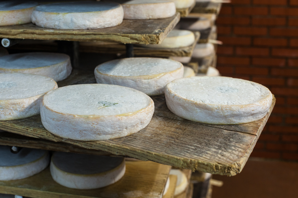 ALL THINGS DRINKS - Reblochon Cheese & Syrah Wine Pairing