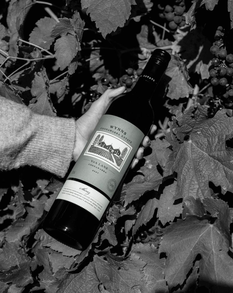 All Things Drinks_Wynns Shiraz_Cheese and Wine Pairing